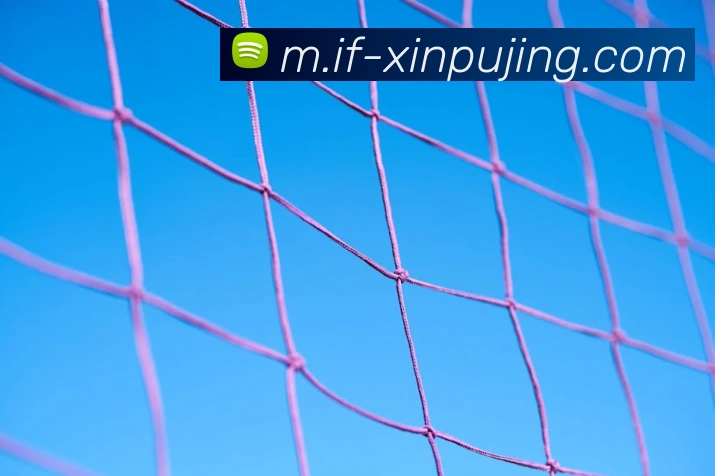 澳门新葡京娱乐服务体系